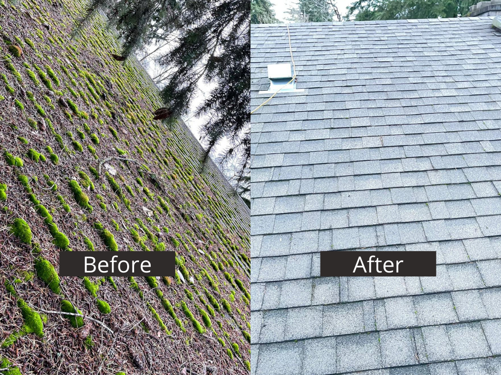 roof_dirty