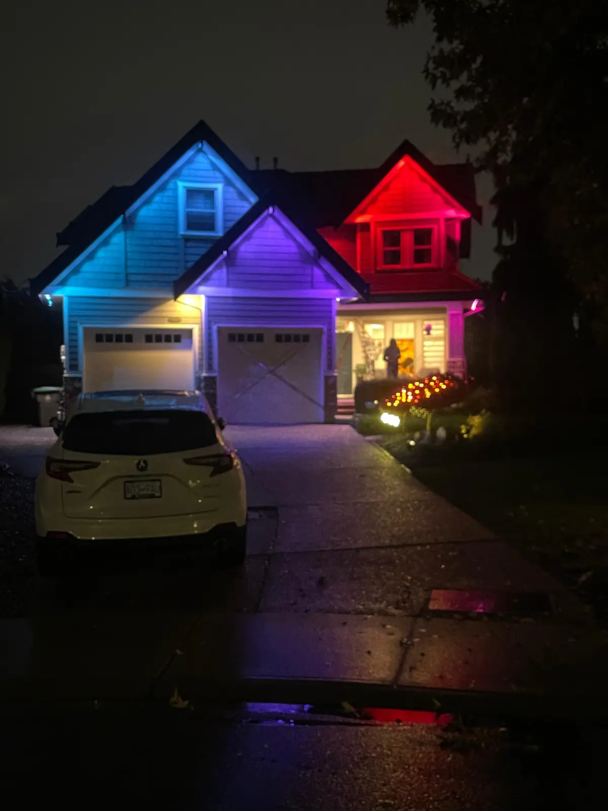 Christmas Light Installation - Image 3