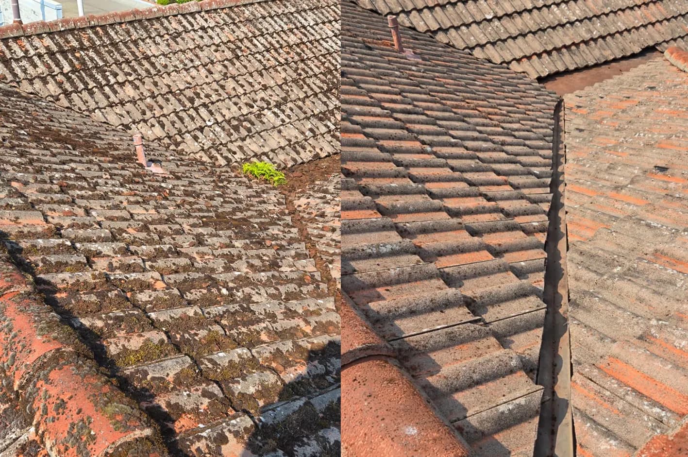 Roof & Gutter Cleaning - Image 2