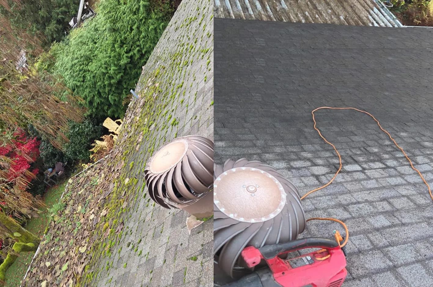 Roof & Gutter Cleaning - Image 3