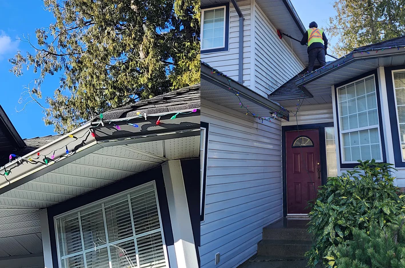 Soft Washing - Image 2